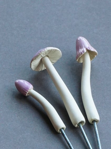 Zápich houbička čirůvka