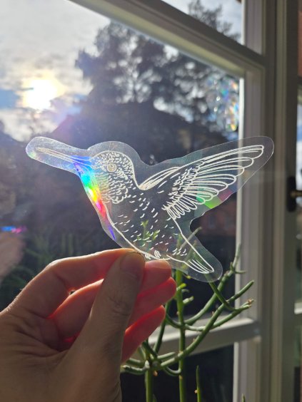 lapac slunce kolibrik