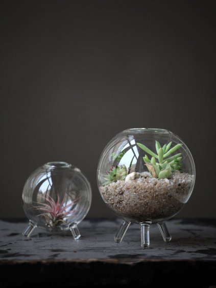 terarium sputnik