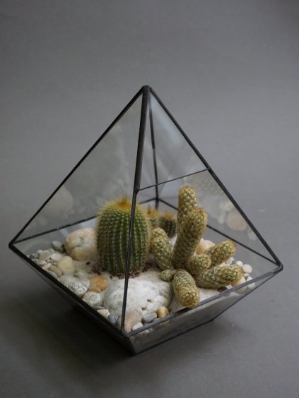 sukulentni florarium pyramida