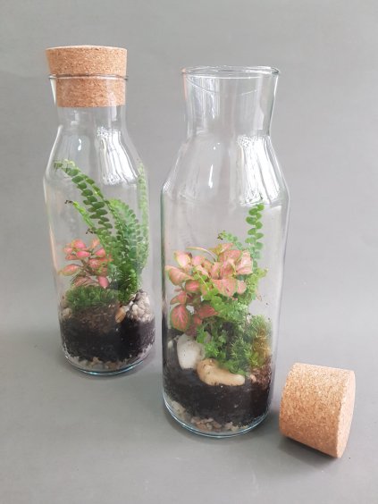 florarium vzkaz v lahvi (1)