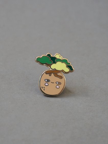 pin kokedama 2