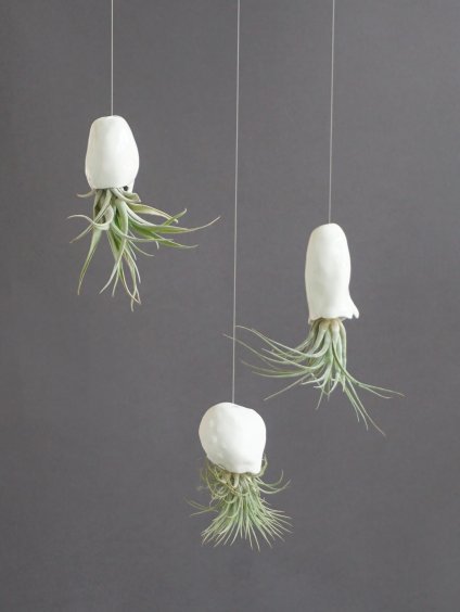 porcelanova meduzka s tillandsii 04