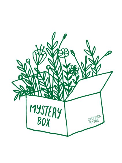 mystery box