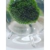 rasokoule zelena bublinky sputnik