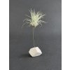 porcelanovy stojanek s tillandsii 4