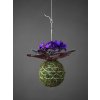kokedama fialka zahrada na niti