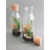 florarium vzkaz v lahvi (1)