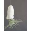 porcelanova meduzka s tillandsii 03