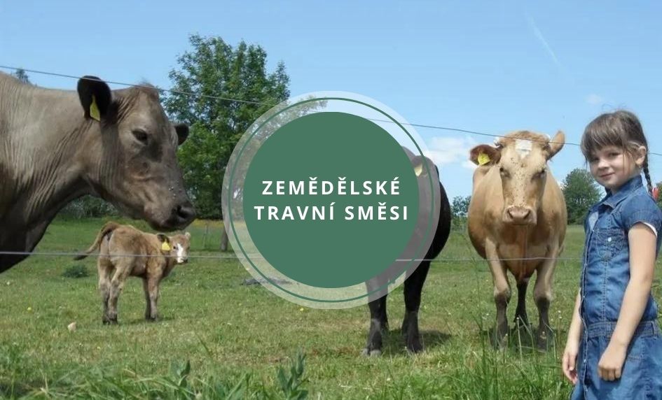 Zemědělské travní směsi