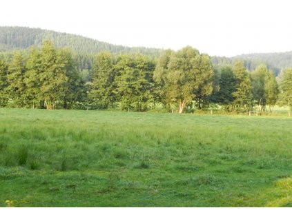 Travní směs Zatravňovací (bez jetelovin) 10kg