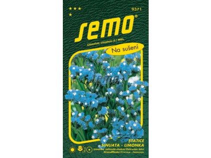 9371 semo kvetiny letnicky statice sinuata limonka blue 269x500