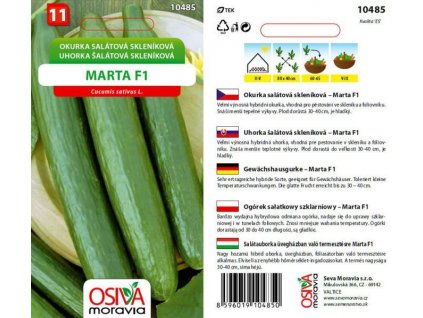 Okurka salátová MARTA F1   - semena
