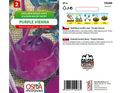 Kedluben modrý DELIKATESS BLAUER  - semena