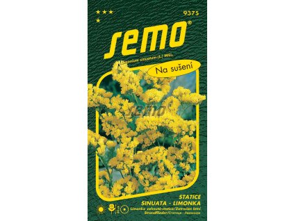9375 semo kvetiny letnicky statice sinuata limonka yellow