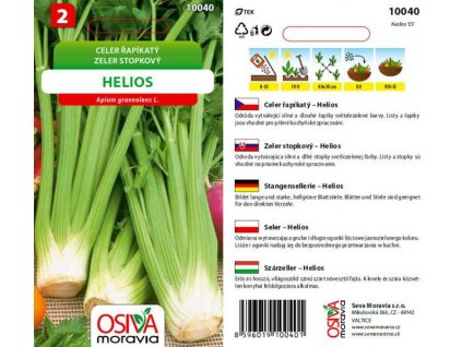 Celer řapíkatý HELIOS  - semena