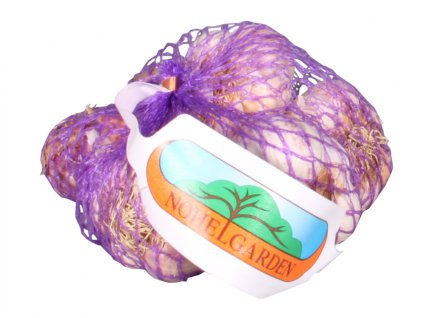 Sadbový česnek nepaličák GERMIDOUR PURPLE 4ks cca 250g