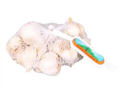 Sadbový česnek nepaličák MESSIDROME WHITE