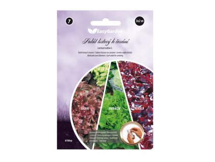 Pásek Salát listový mix 3x2m