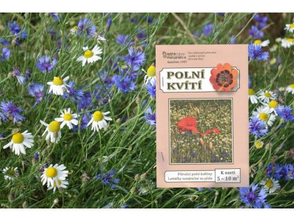polní kvítí