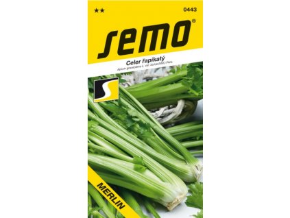 Celer řapíkatý MERLIN