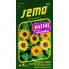 Slunečnice roční PACINO MIX - semena