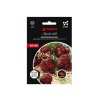 Paprička Chilli CAROLINA REAPER CHOCOLATE hnědá 2 200 000 SHU