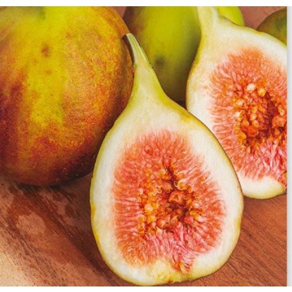 Ficus carica, fíkovník smokvoň 'Madeleine des Deux saisons', výška sazenice 30-40cm, kontejner
