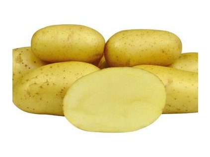 Colette velmi rana odruda brambor