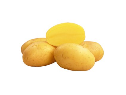 Larisa rana odruda brambor