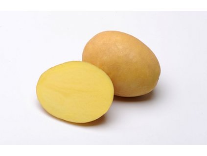 BERNINA, poloraná odrůda brambor, varný typ A, žlutá slupka
