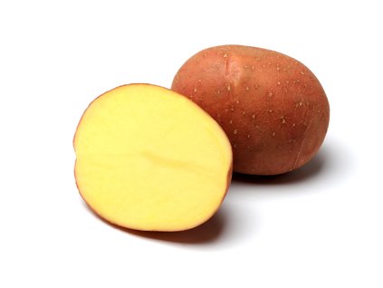 Bellarosa velmi rana odruda brambor