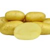 Colette velmi rana odruda brambor