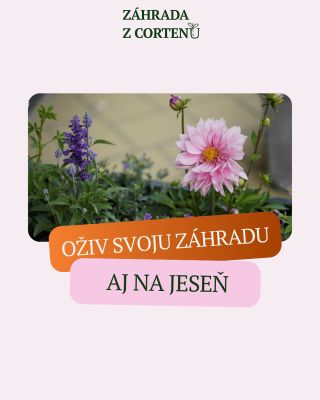 🧡 Aj jeseň môže byť kvetinová. Ktoré kvety tešia počas jesene teba? 👀 #jesen #kvety #sadenie #zahrada #zahradka #zahradkar...