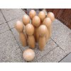 Kolky - bowling