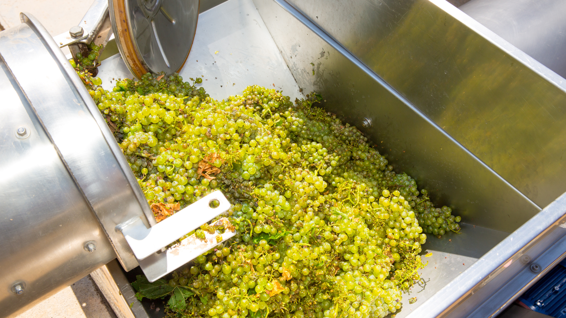 Prečo je drvič ovocia nástrojom pre každého záhradkára a milovníka ovocia?