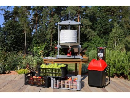 sada fruit shark lis 50 ls 6t text vl