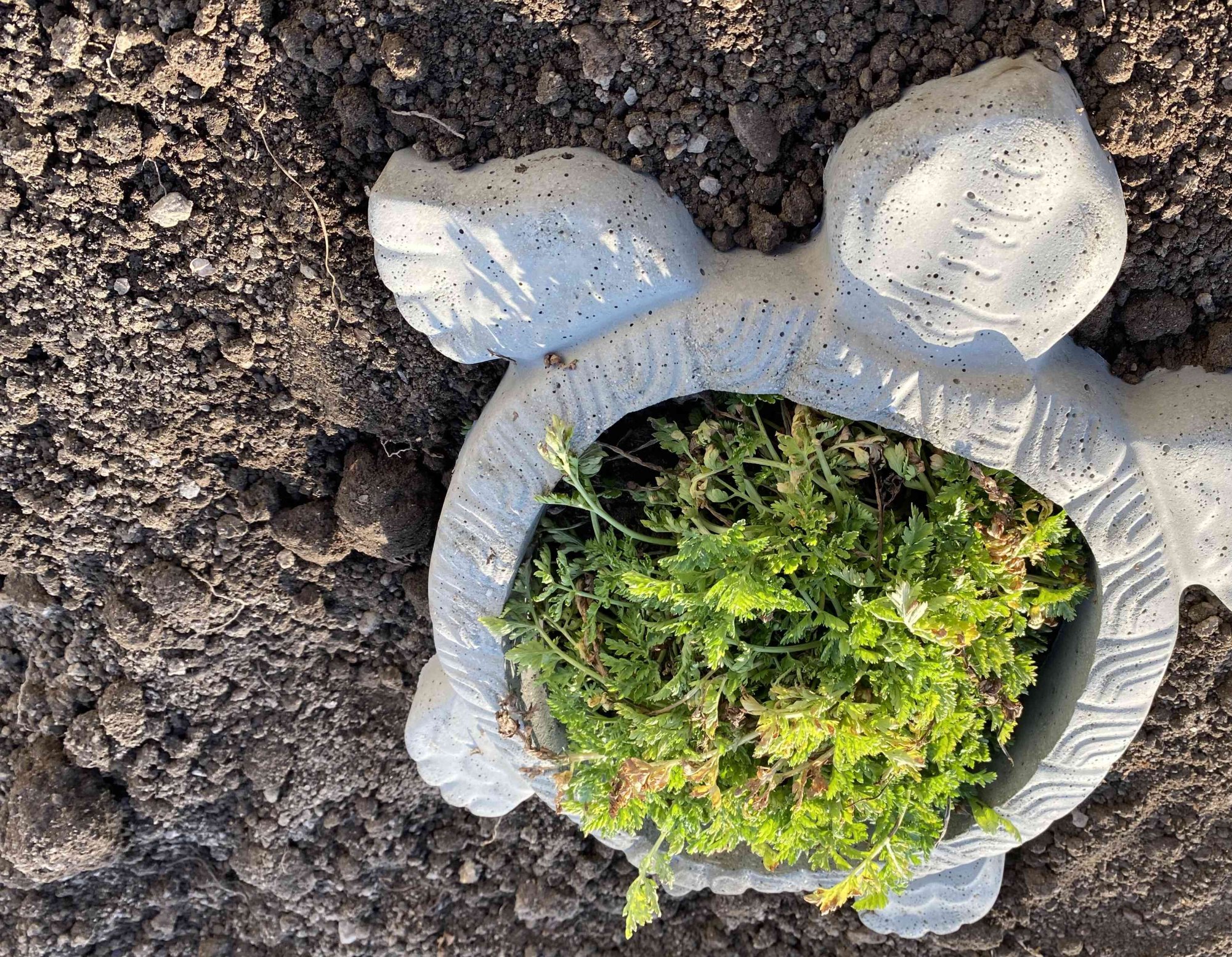 Dekoratívny vyvýšený záhon v tvare korytnačky