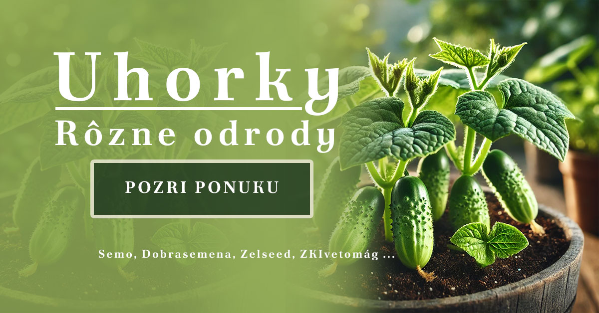 Uhorky ponuka semien