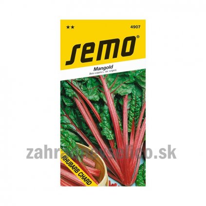 MANGOLD-RHUBARB CHARD-ČERVENÝ Semo