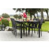 Nábytek na zahradu ratan stůl VIKING XL + 6x židle ROMA (5)