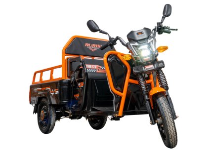 ruris pilot 3110n e truck cargo bike black (1)