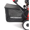 Weibang WB 384 RC