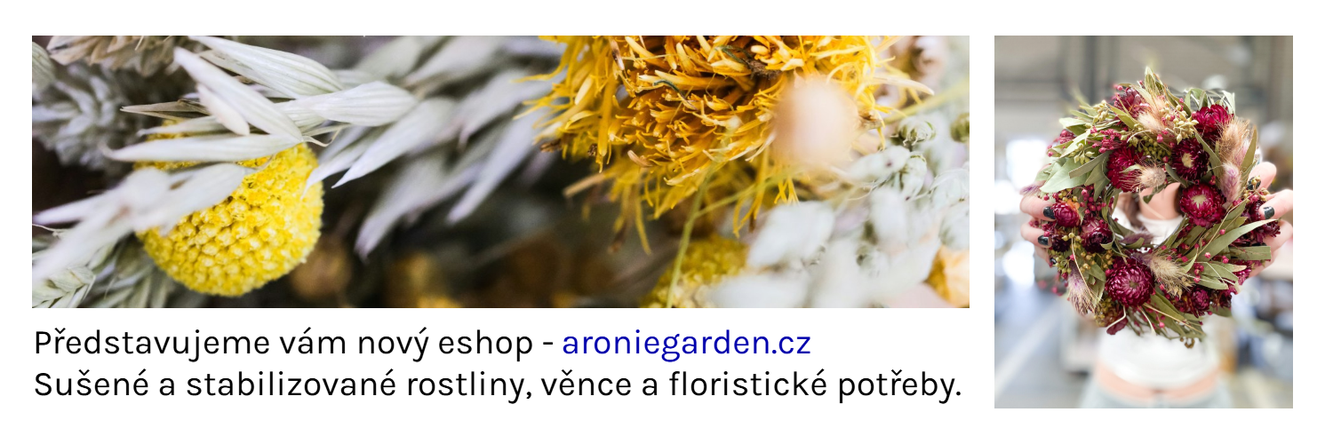 Sušené a stabilizované rostliny - věnce
