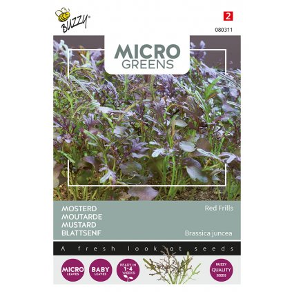 Hořčice ´Červené volánky´ - semena na klíčky Microgreens  Semena Buzzy ®