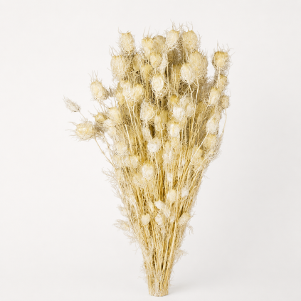 Nigella white