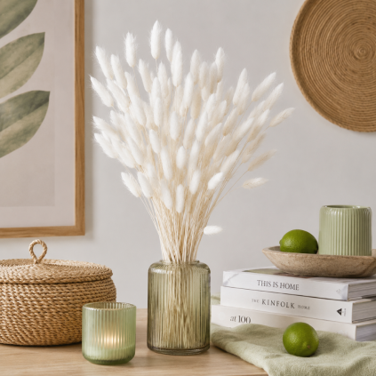 lagurus white interier