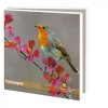 Přání s obálkami ´Ptáci našich zahrad´ - 10 karet s obálkami  Set blahopřání s ptáčky