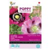 Mák setý - Papaver Flowers - 1 gram  Semena Buzzy ®