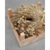 Briza triticum wreath 0150 10 328 v 4